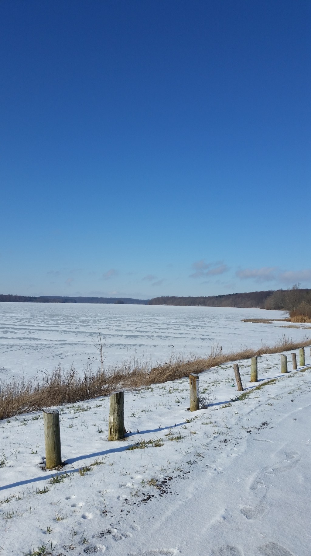 Extra Yoga Classes, Winter, 2nd&nbsp;Session