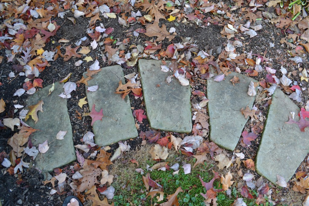 Yoga Class Schedule Autumn&nbsp;2017