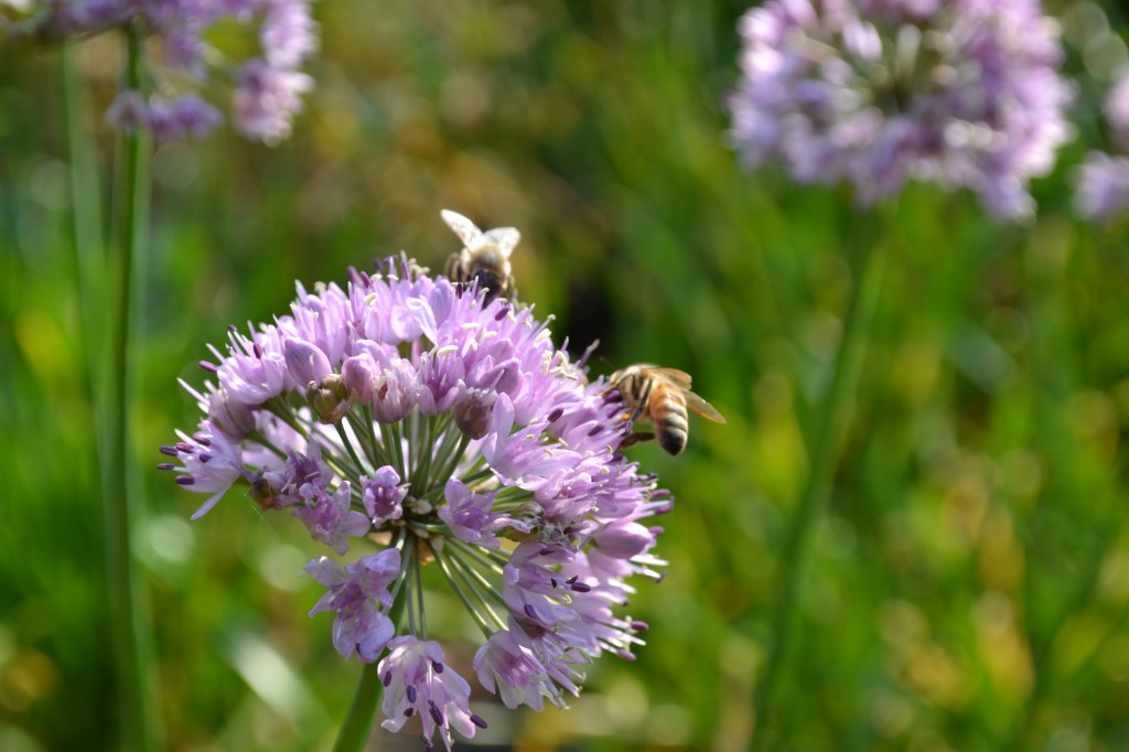 Kind of a Big Yoga Update (for Autumn&nbsp;2018)