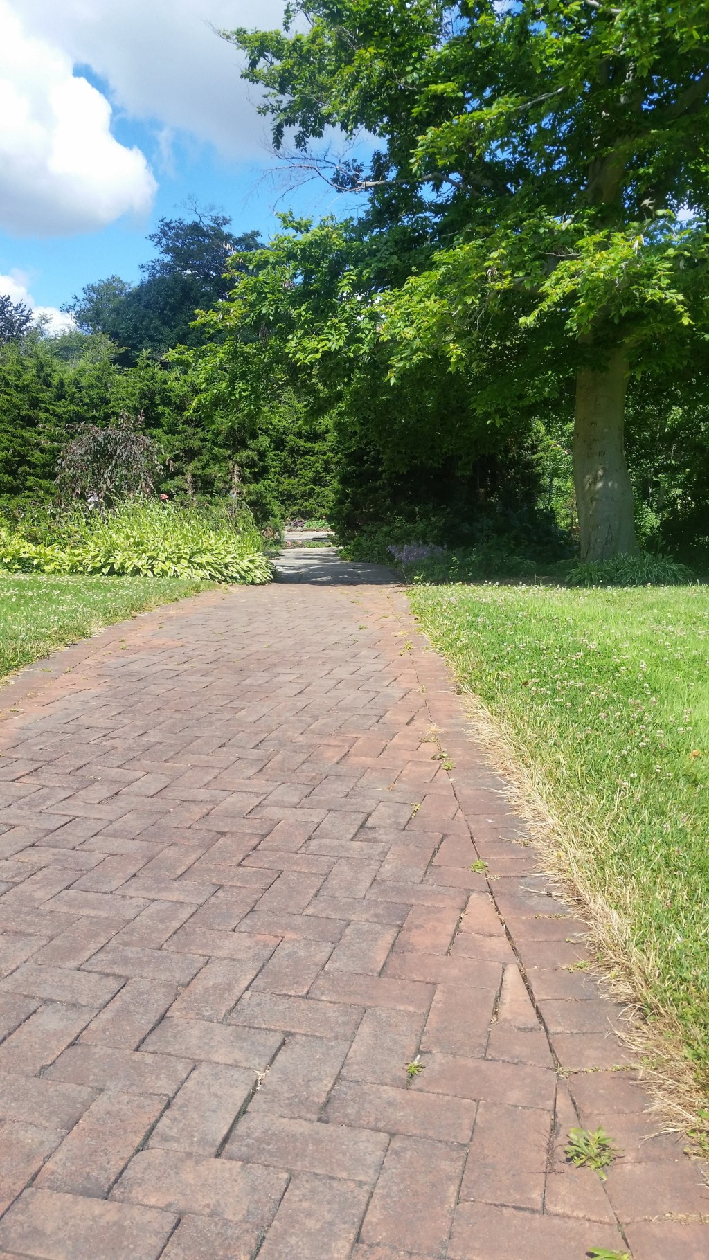 Yoga Updates Summer&nbsp;2018