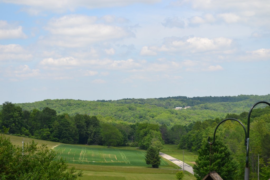 Yoga Practice  ~ Spring&nbsp;2017