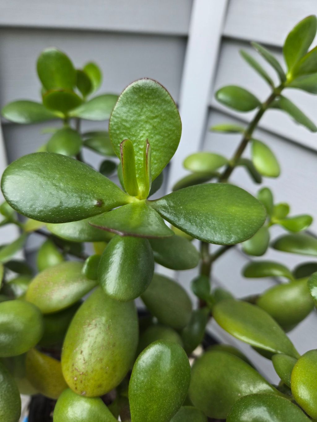 Gravity:  A Poem-Prompt