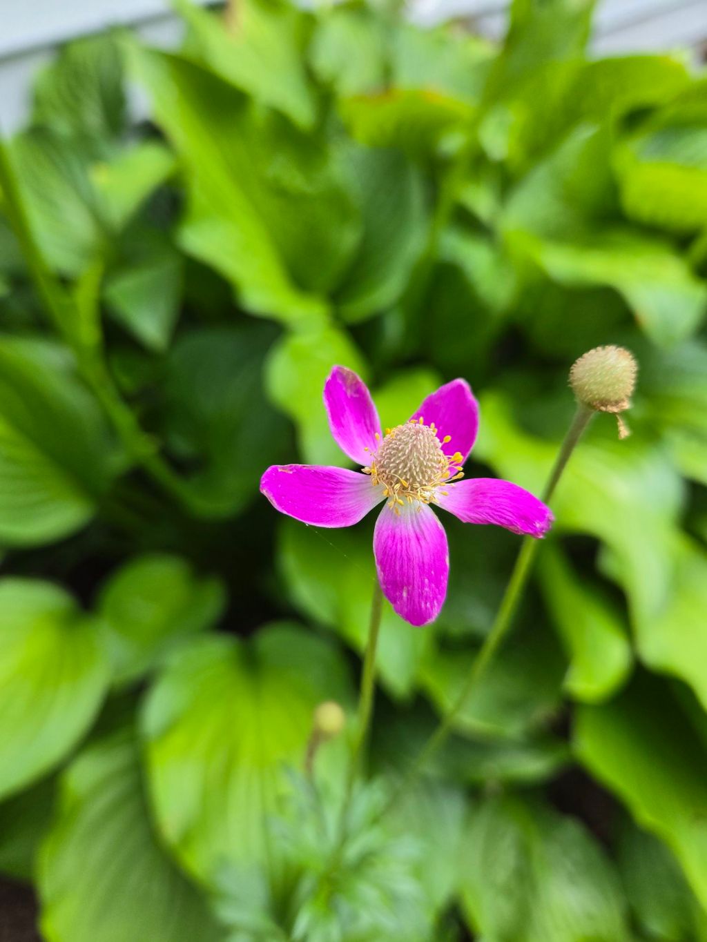 The Shape of&nbsp;Sound