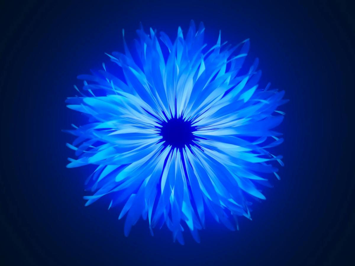 Open Letter to My&nbsp;Friend