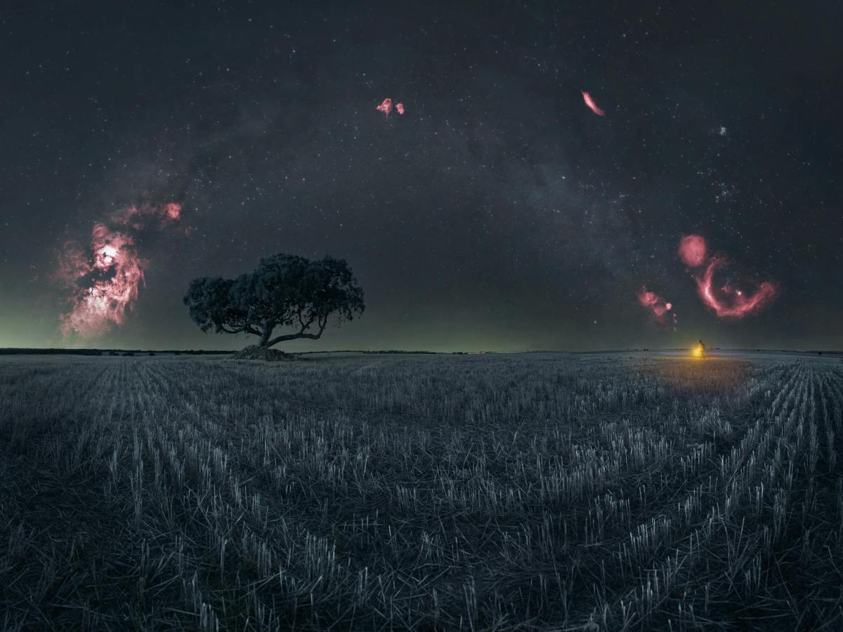 I Say a Small&nbsp;Yes