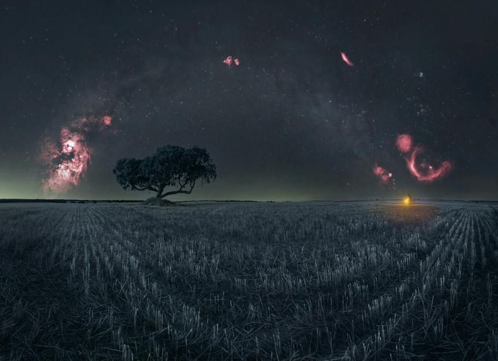 I Say a Small&nbsp;Yes